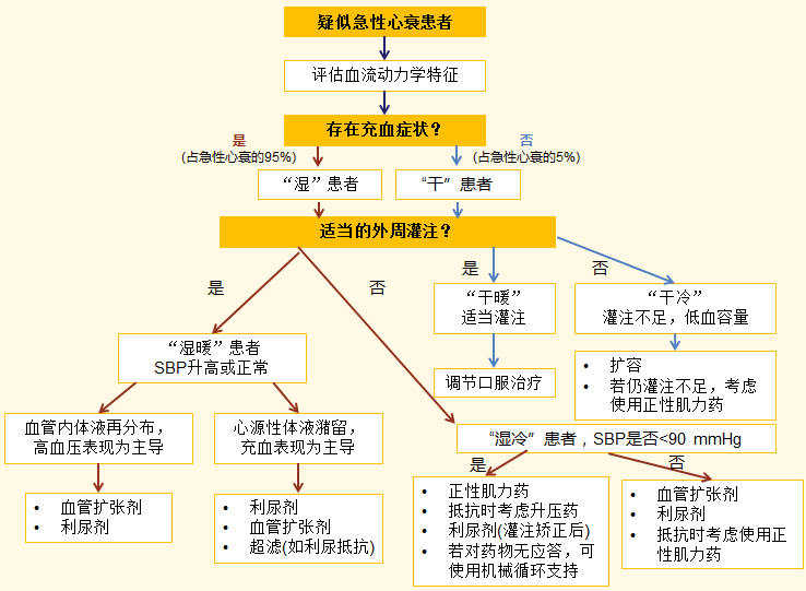 急性心衰早期阶段的治疗需基于临床症状进行评估