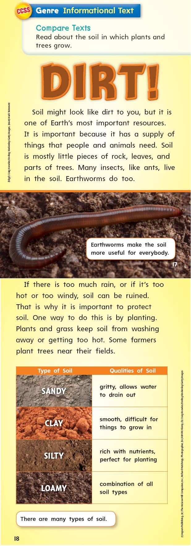 dirt!