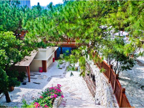 南溪淙淙在线阅读_泉水淙淙_泉水淙淙意思