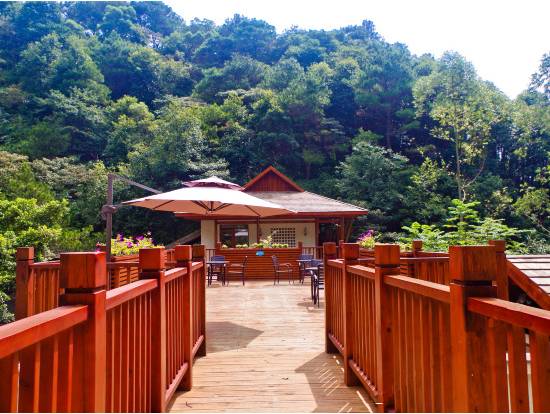 泉水淙淙意思_南溪淙淙在线阅读_泉水淙淙