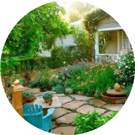 家庭养花阳台种菜