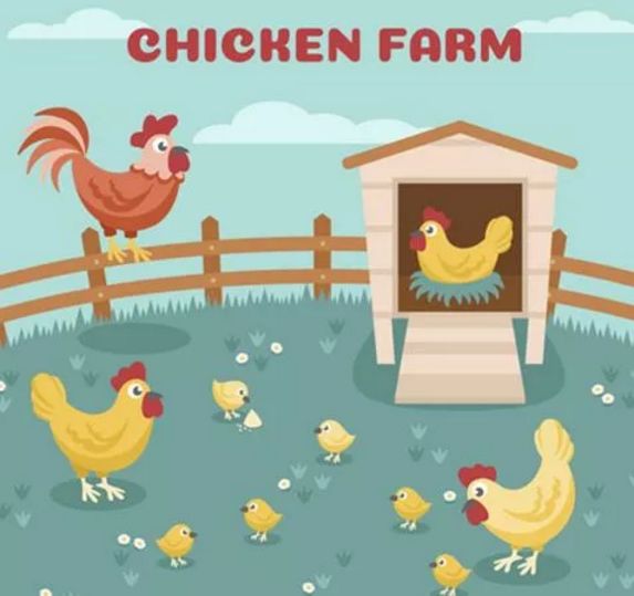 通过一个养鸡场的运营告诉你何谓审计