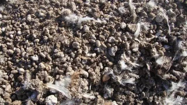 河南惠農(nóng)集團(tuán)