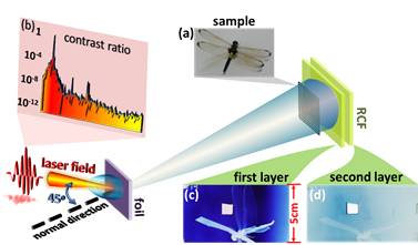 жɹչչ֮ǿ̼⾿Ǹɶ