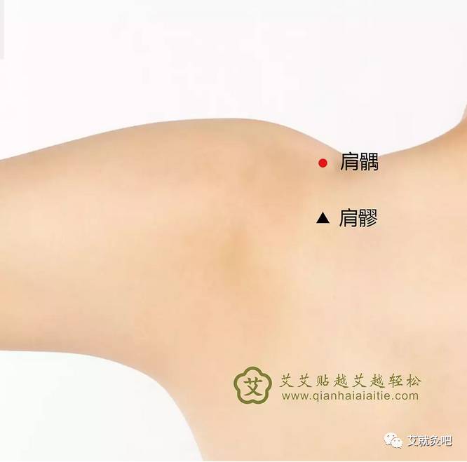胡有宸艾艾贴穴位图解肩髎穴