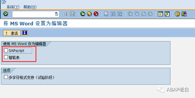 S4Smartforms WORD - 封面图