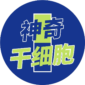 神奇干细胞