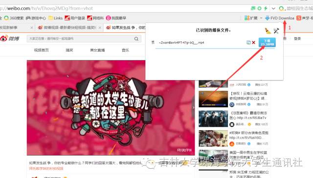 干货｜教你如何下载网页上的视频