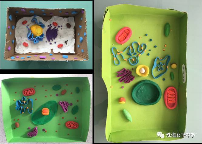 珠海女子學(xué)校_珠海女子學(xué)校學(xué)費(fèi)_珠海女子學(xué)校是什么學(xué)校