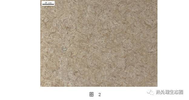 锻造齿轮金相组织