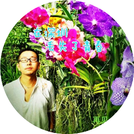 阿Ben你莫要神叨叨乱扯