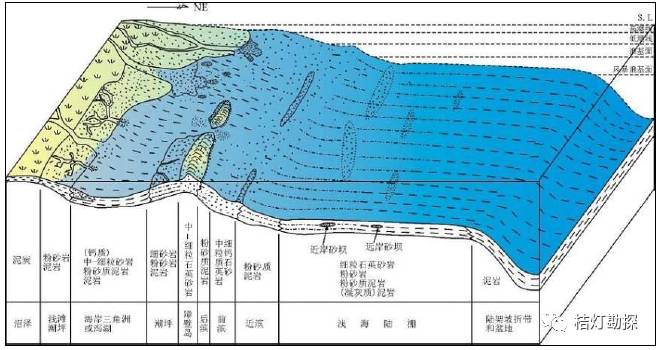 海相三角洲→滨岸→浅海陆棚沉积模式图