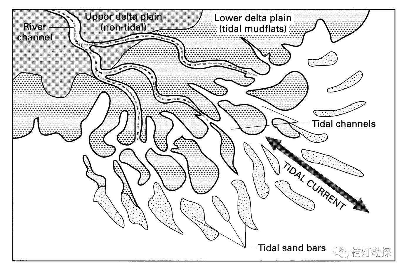外形受港湾形态控制,常发育 裂指状潮汐砂坝以此区别于其他类型三角洲