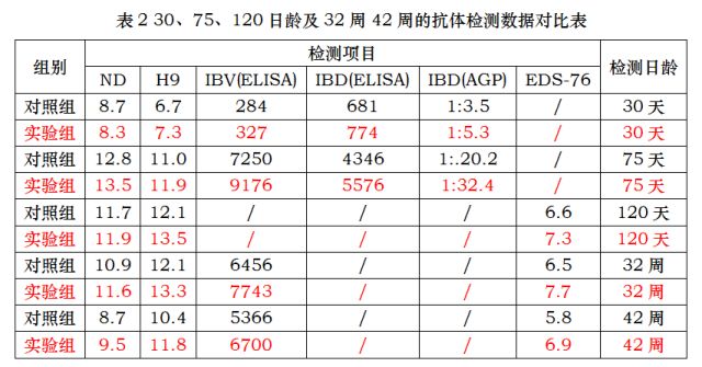 分享丨最完整的蛋鸡免疫减负“434”方案案例！