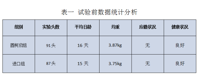 死淘率远低进口圆环苗！圆柯欣实力担当获市场好评！