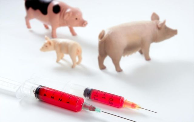 圆柯欣临床应用效果评估系列「连载.1」——安全性