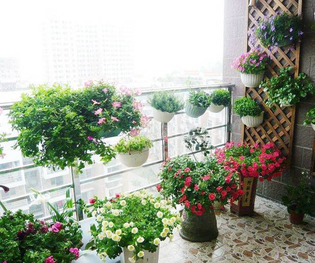 4 主人若是有照料花草的情趣 不妨将阳台打造成一个小花园 几个小