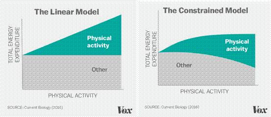 运动减肥_减肥运动操瘦全身_减肥运动有哪些项目