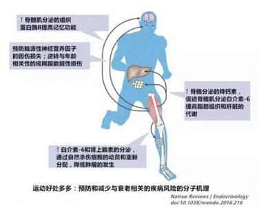 减肥运动操瘦全身_运动减肥_减肥运动有哪些项目