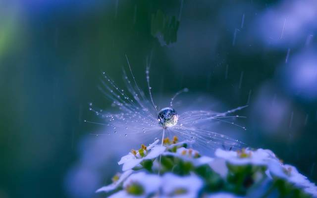 这才是中医养生的最高境界