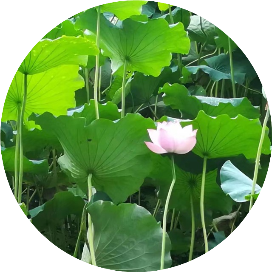 辰辰2008