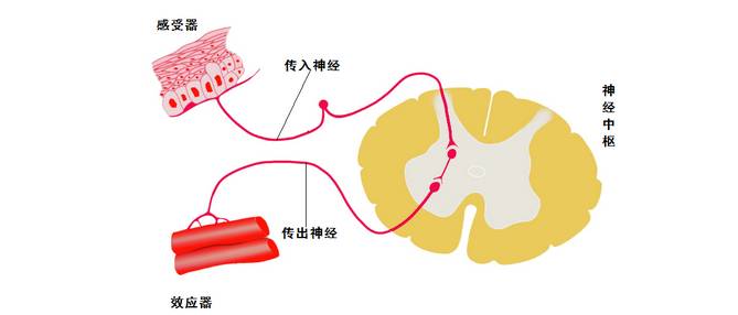 城市智商的提出，基于互联网云脑的智慧城市发展水平评测研究