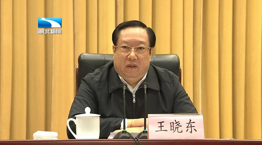 湖北省委书记蒋超良:决不辜负党中央的重托和湖北人民