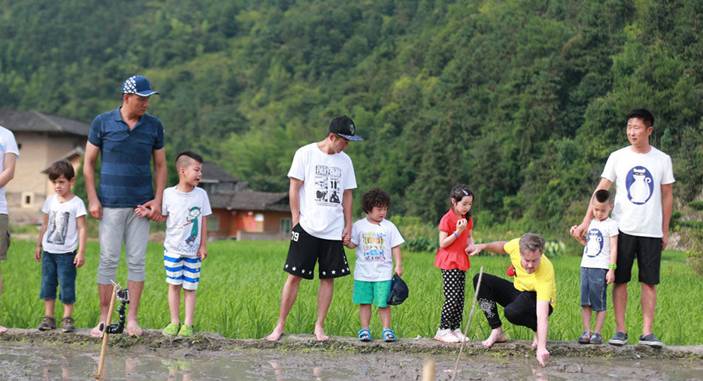 耳朵怀孕,《麻雀》到底用了多少日本动漫配乐?-怀孕期