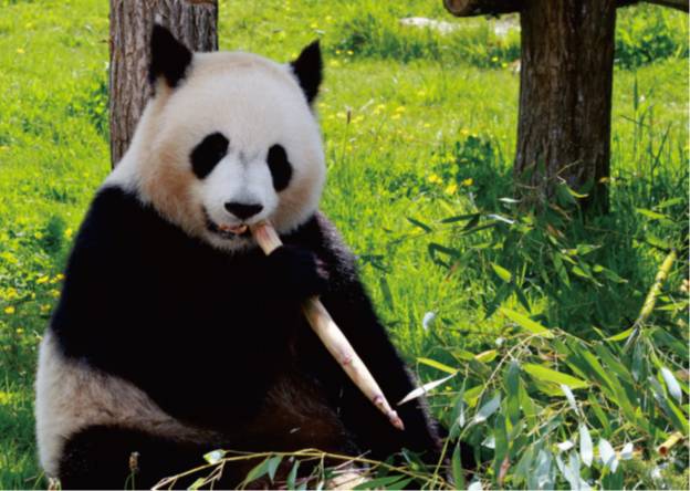 %name 【商机】中澳百家企业齐聚悉尼，千年古都现代文明，一带一路意义深远！5000年食文化魅力惊爆全场   中国从这里走向世界！