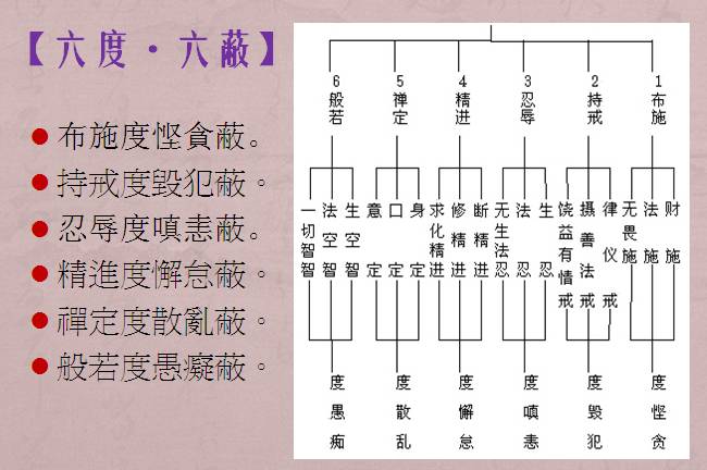 布施,持戒,忍辱,精进,禅定,智慧,此六度即是大乘菩萨修行之大纲.