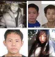 ����߲���߱ĸ��ϸ���ع⣡��ز��ݣ��ٸ����̵��ﷸ�����ӷ���