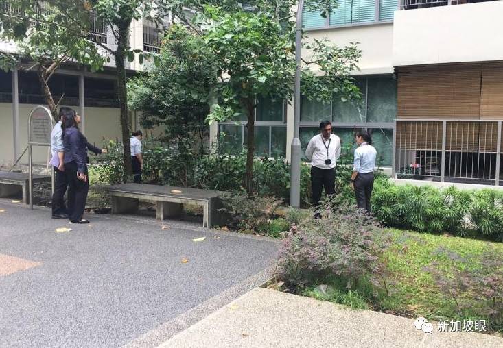 淡滨尼血腥双尸案:新加坡男子疑刺死情妇后跳楼!