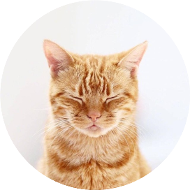 歸藏的AI工具箱