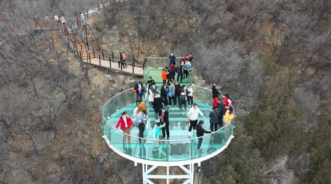 红叶柿岩旅游区植树节活动温暖来袭!