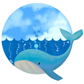 小小海豚君