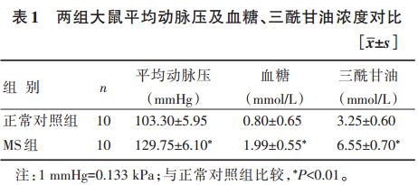 两组大鼠平均动脉压,血糖,三酰甘油浓度对比,详见表1. 2.