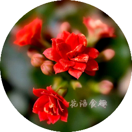 花语食趣