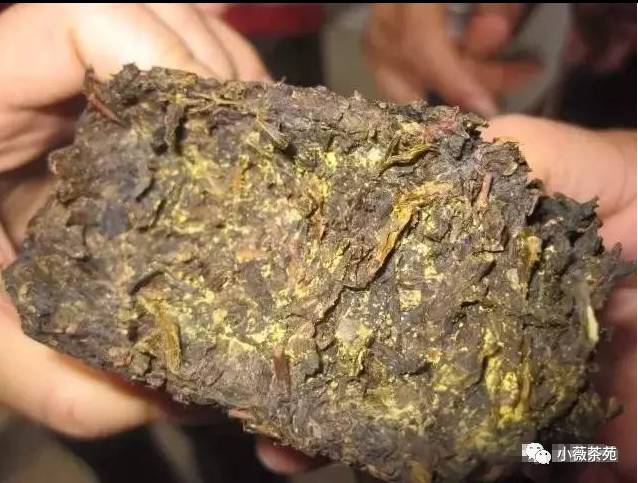 安化黑茶排毒，将成为中国人最佳养生之道