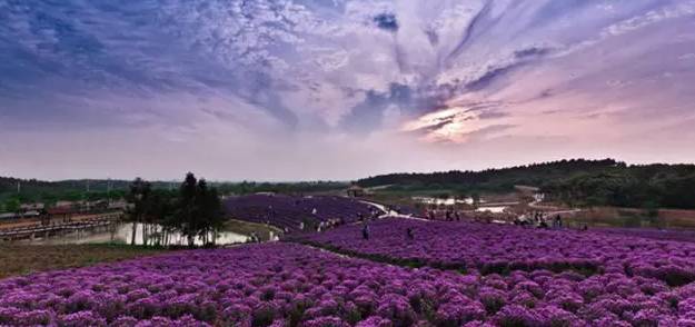 南京几个区_南京有几个区_南京玄式区世纪缘湖滨花园酒店