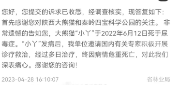 熊猫的生活环境_熊猫频道24小时直播大熊猫生活_熊猫的生活环境