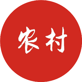 今日农村信息