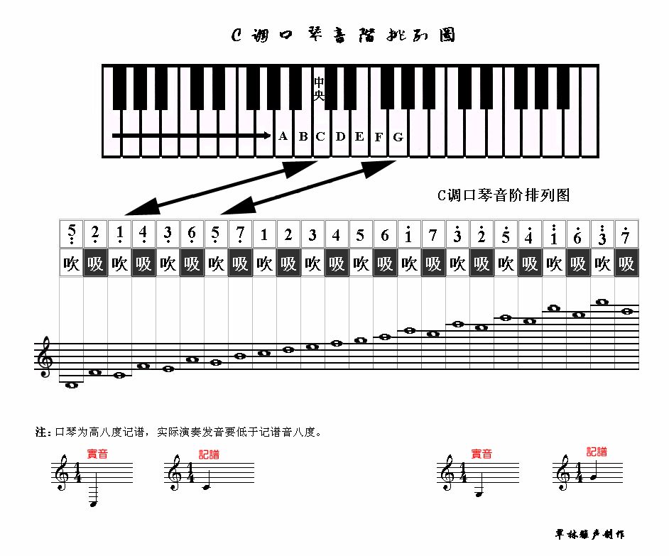 【培训辅导】初学口琴者应掌握的基本要领