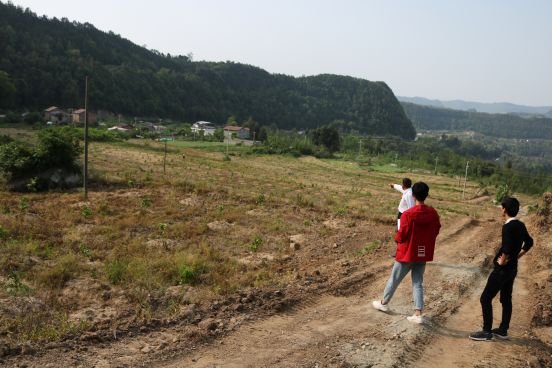 图三:巴州区鼎山镇龙堡村红小柚种植基地