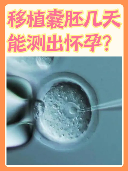 试管婴儿移植后几天测出怀孕等于自然怀孕几天？