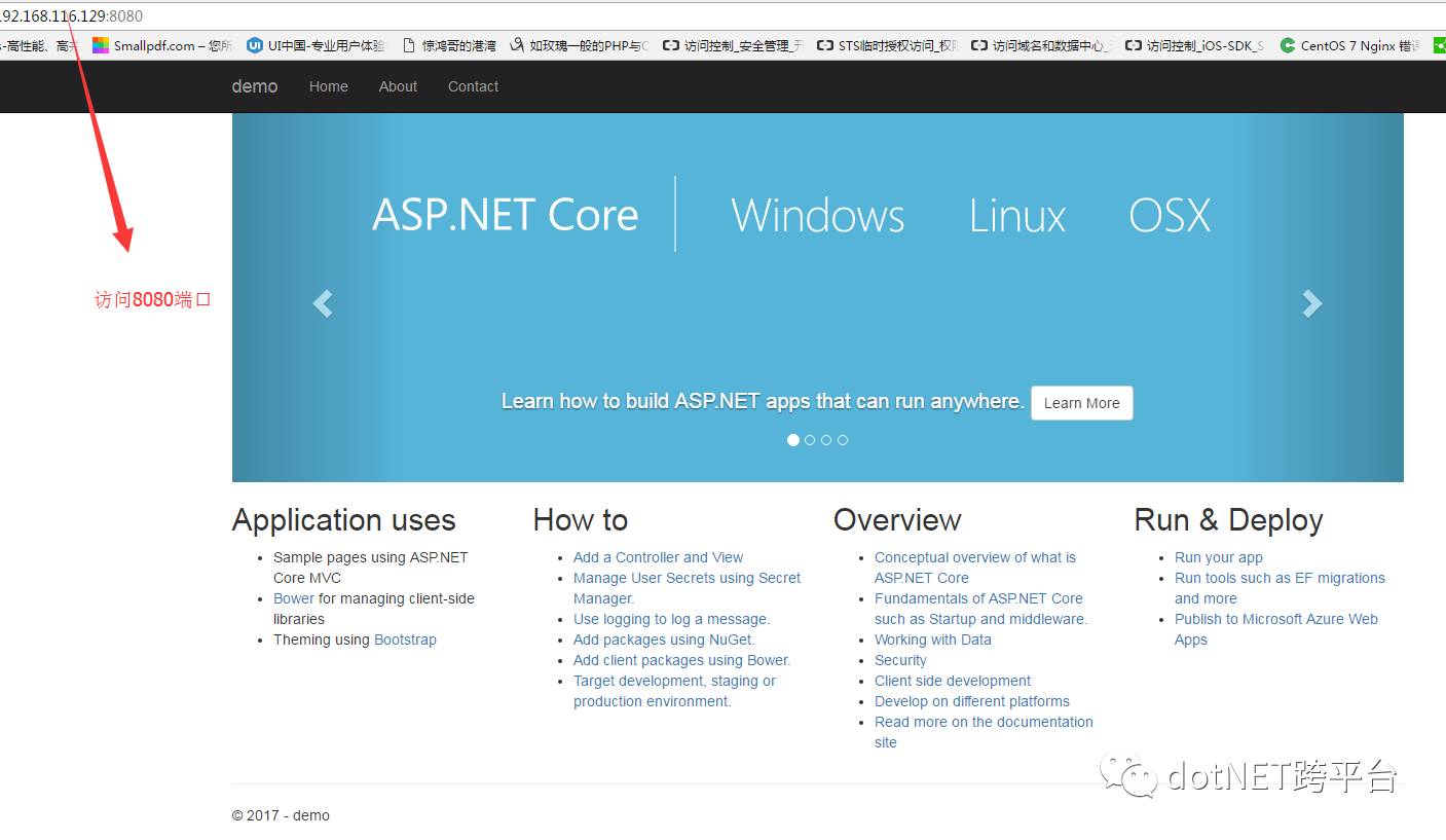 Docker打包 Asp.Net Core应用，在CentOS上运行