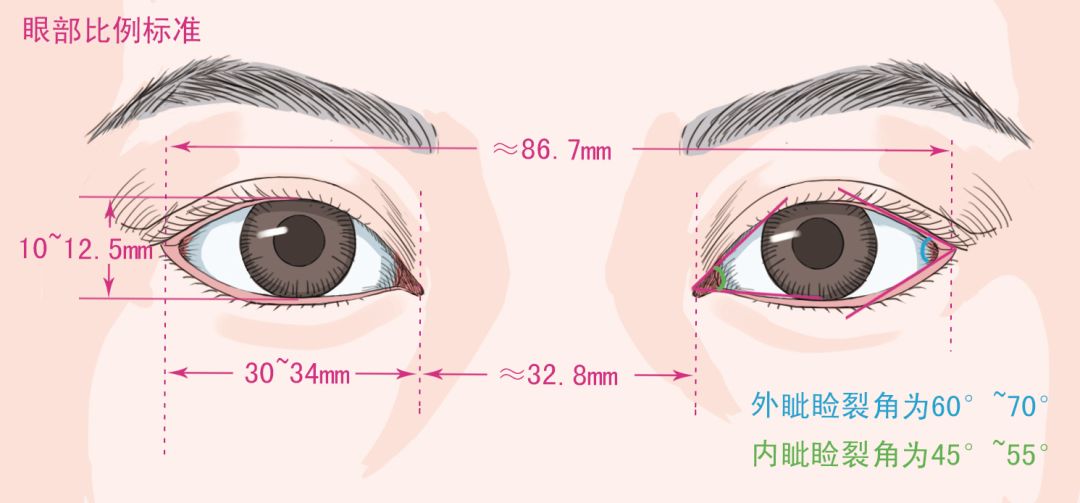 包括:小睑裂,先天性睑裂狭小综合症,眼睑外伤后畸形,眼睑肿物