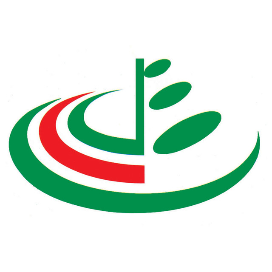 中国青少年研究会