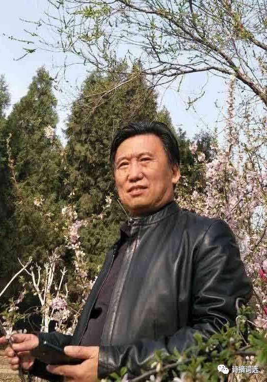【图片雅集】药用诗社2017年优秀诗词微刊第32期(农安诗社图片丁香丁香大全图片