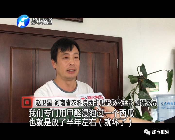 &nbsp; &nbsp; &nbsp; &nbsp; 隨后專家又提到了野生西瓜，專家說放一年都沒問題。那么野生西瓜又是什么呢？