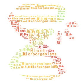 植物微生物最前线